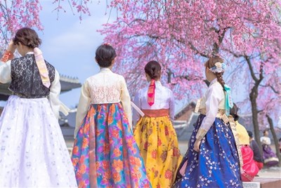 Tour Hàn Quốc NO SHOPPING Mùa Hoa Anh Đào: HCM - Seoul - Starfiled Suwon - Everland 6N5Đ 