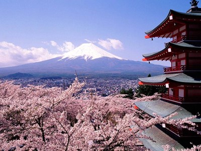 Tour Nhật Bản Mono Tokyo: Tokyo - Núi Phú Sĩ -  Công viên Hoa Anh Đào Tokyo - 5N4D 